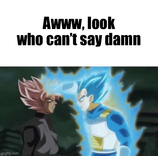Aww look who can’t say | Awww, look who can’t say damn | image tagged in aww look who can t say | made w/ Imgflip meme maker