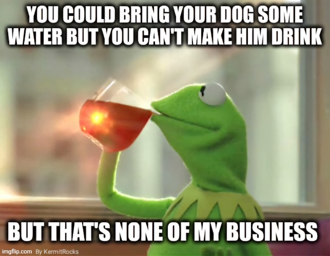 KermitRocks | image tagged in memes | made w/ Imgflip meme maker