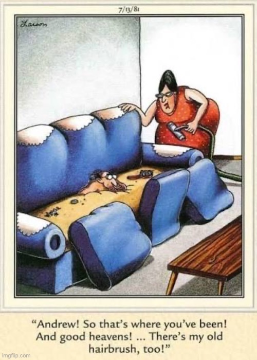 He’s been under there for a whole month… | image tagged in the far side,comics,couch,lost and found,hairbrush,husband | made w/ Imgflip meme maker