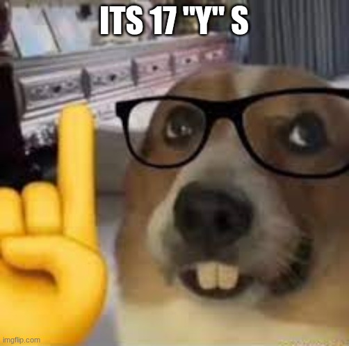 nerd dog | Its 17 "y" s | image tagged in nerd dog | made w/ Imgflip meme maker
