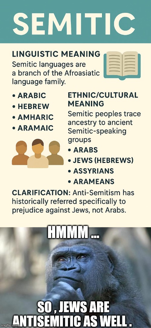 Antisemitism memes | Hmmm ... So , Jews are antisemitic as well . | image tagged in 1750344153880 jpeg,the thinking gorilla | made w/ Imgflip meme maker