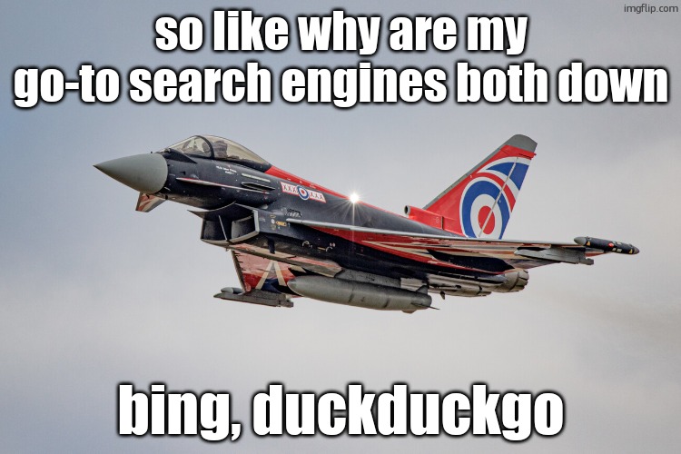Eurofighter Typhoon Blackjack livery | so like why are my go-to search engines both down; bing, duckduckgo | image tagged in eurofighter typhoon blackjack livery | made w/ Imgflip meme maker
