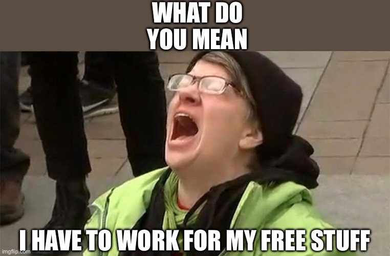 What do you mean I have to work for my free stuff | image tagged in crying liberal | made w/ Imgflip meme maker