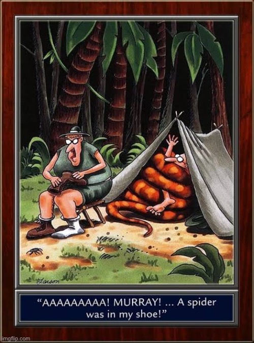 Murray has his own problems right now… | image tagged in the far side,comics,campers,outdoors,snake,spider | made w/ Imgflip meme maker