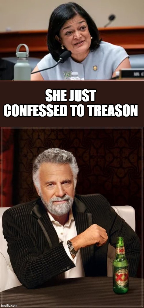 She just confessed to Treason | image tagged in memes,the most interesting man in the world | made w/ Imgflip meme maker