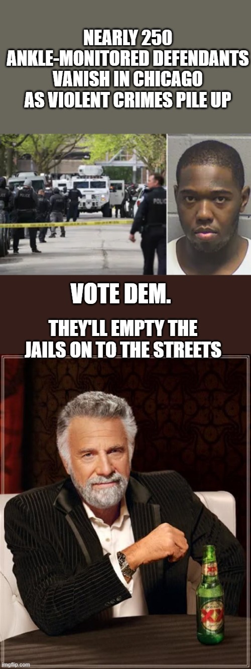 THE CRIMINALS backed party. | Nearly 250 ankle-monitored defendants vanish in Chicago as violent crimes pile up; VOTE DEM. They'll empty the jails on to the streets | image tagged in memes,the most interesting man in the world | made w/ Imgflip meme maker
