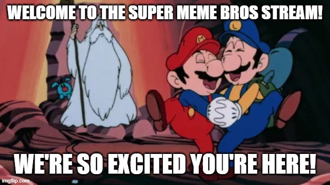 Welcome | welcome to the super meme bros stream! we're so excited you're here! | image tagged in mario and luigi dancing | made w/ Imgflip meme maker