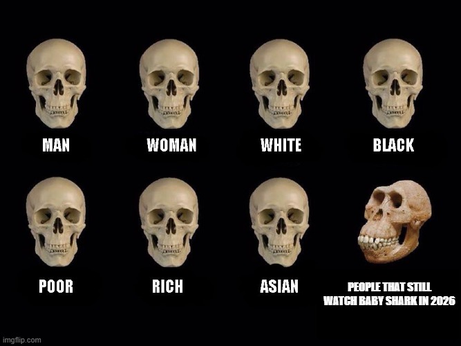 Who legit watches this in 2026 | people that still watch baby shark in 2026 | image tagged in empty skulls of truth | made w/ Imgflip meme maker