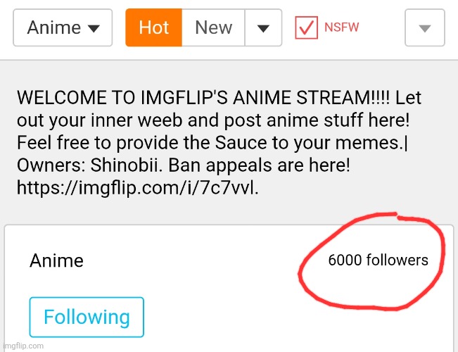 6K followers :) wow | image tagged in anime,streams,anime stream,followers,milestone,number | made w/ Imgflip meme maker