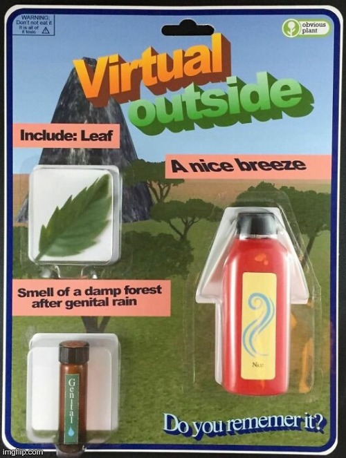 The perfect summer gift for kids who don't want to go outside! | image tagged in summer,gift,ideas,virtual,outside,fake products | made w/ Imgflip meme maker
