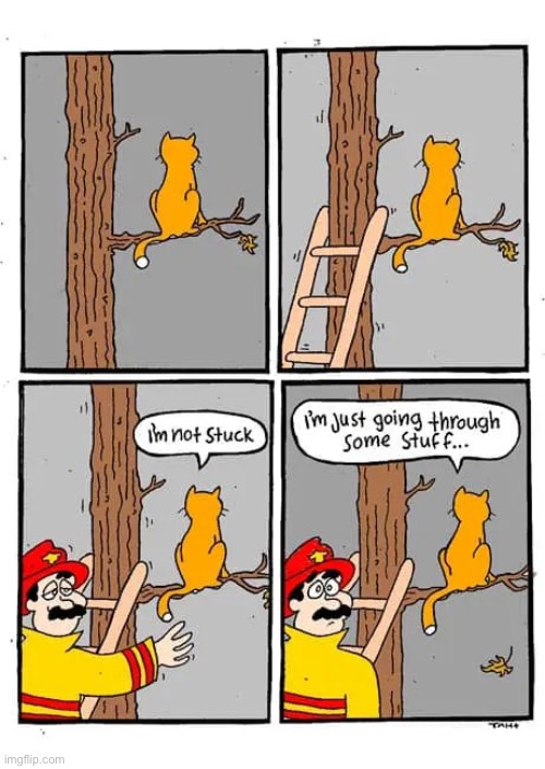 Give him some space | image tagged in comics,cats,tree,fireman,not stuck,going through some stuff | made w/ Imgflip meme maker