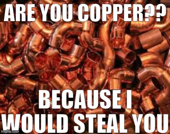 YOUR NEIGHBORS HOUSE HAS FREE COPPER IN IT!!!! | image tagged in 962gqu jpg | made w/ Imgflip meme maker