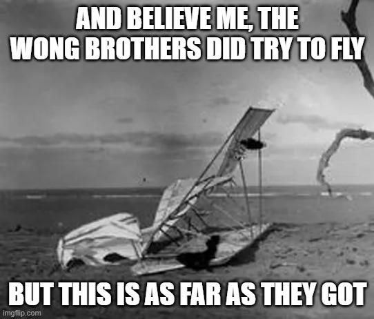 The Wong Brothers | and believe me, the wong brothers did try to fly; but this is as far as they got | made w/ Imgflip meme maker