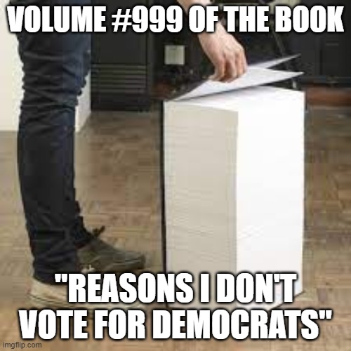 Big Book | volume #999 of the book; "reasons i don't vote for democrats" | image tagged in big book | made w/ Imgflip meme maker