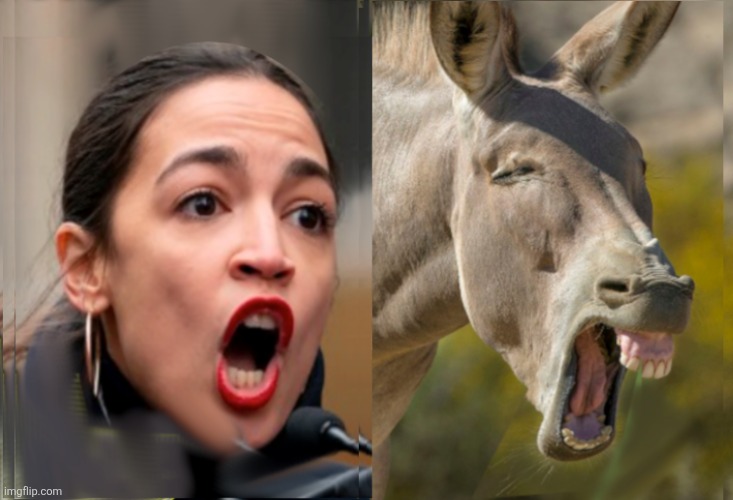 Lookalikes | image tagged in lookalikes | made w/ Imgflip meme maker