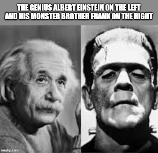 Here's a picture of Albert Einstein and his brother Frank.    --  funny  -- | The genius Albert Einstein on the left and his monster brother Frank on the right | image tagged in funny,humor,einstein,albert einstein,play on words,frankenstein | made w/ Imgflip meme maker