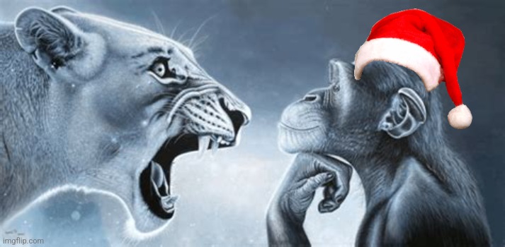 tiger yell at pondering monkey | image tagged in tiger yell at pondering monkey | made w/ Imgflip meme maker