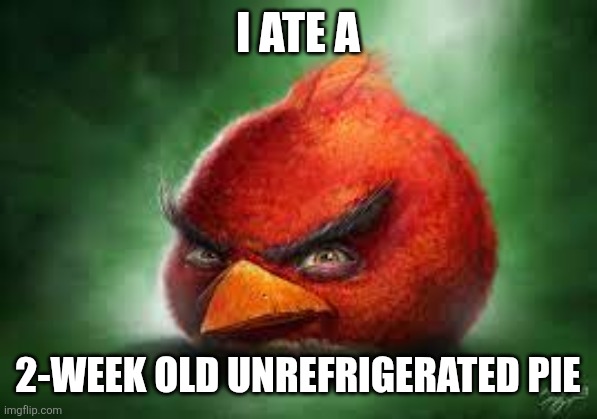 Realistic Red Angry Birds | I ATE A 2-week old unrefrigerated pie | image tagged in realistic red angry birds | made w/ Imgflip meme maker