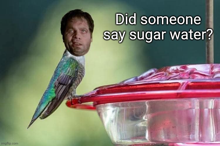 Did someone say sugar water? | made w/ Imgflip meme maker