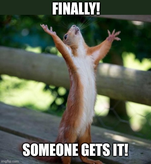 finally | Finally! Someone gets it! | image tagged in finally | made w/ Imgflip meme maker
