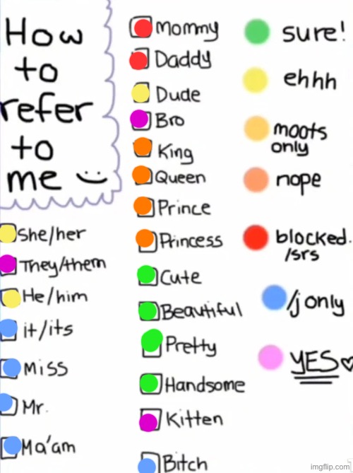 lowk think I might be a lil genderfluid ngl | image tagged in refer to me | made w/ Imgflip meme maker