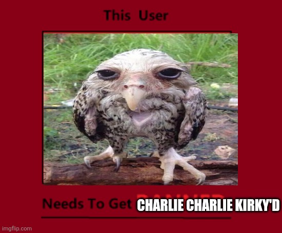 This User Needs To Get Banned | Charlie Charlie kirky'd | image tagged in this user needs to get banned | made w/ Imgflip meme maker