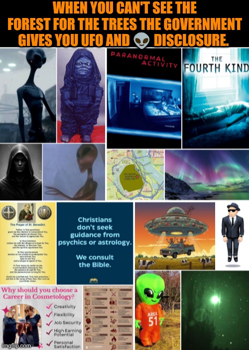 Funny | When you can't see the forest for the trees the government gives you UFO and 👽 disclosure. | image tagged in funny,politics,government,empire,in a universe in a galaxy person thinking,thanks captain obvious | made w/ Imgflip meme maker