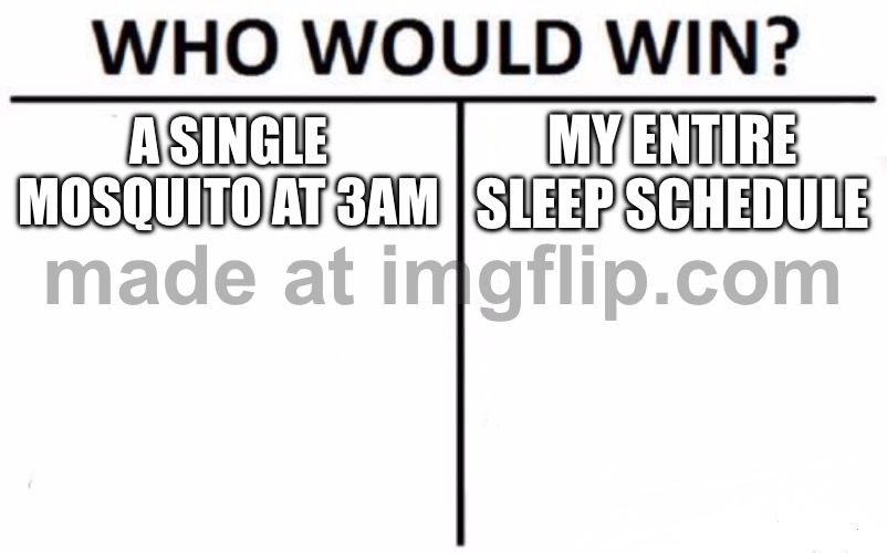 A SINGLE MOSQUITO AT 3AM; MY ENTIRE SLEEP SCHEDULE | A SINGLE MOSQUITO AT 3AM; MY ENTIRE SLEEP SCHEDULE | image tagged in memes,who would win,sleep,schedule meme,mosquitoes,3 am | made w/ Imgflip meme maker
