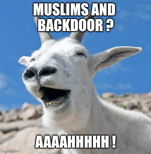 Laughing Goat Meme | Muslims and 
Backdoor ? Aaaahhhhh ! | image tagged in memes,laughing goat | made w/ Imgflip meme maker