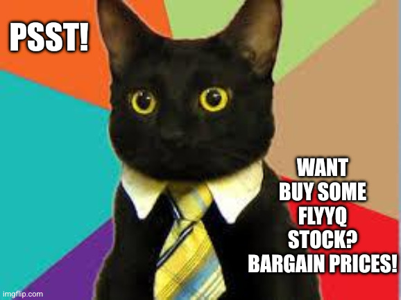 Niche investment in the ghost of Spirit Airlines | Psst! Want buy some FLYYQ stock? Bargain prices! | image tagged in cat tie,memes,spirit airlines,stock crash,grifters,junk bonds | made w/ Imgflip meme maker