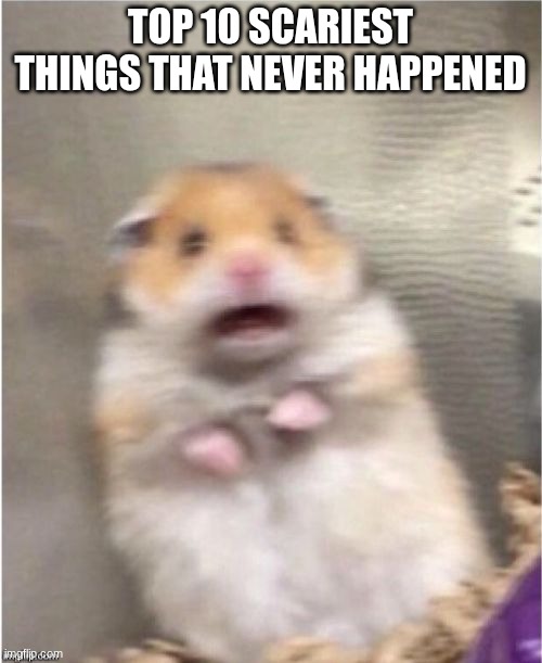 Scared Hamster | top 10 scariest things that never happened | image tagged in scared hamster | made w/ Imgflip meme maker