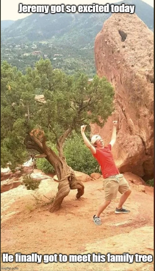 Family Tree | Jeremy got so excited today; He finally got to meet his family tree | image tagged in family,tree,reunion,nature | made w/ Imgflip meme maker