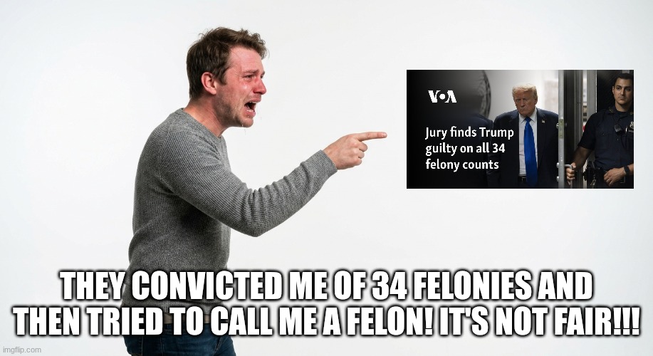 As our parents would say, LIFE isn't fair. | They convicted me of 34 felonies and then tried to call me a felon! It's not fair!!! | image tagged in crying man pointing,donald trump,felon,unfair,reality | made w/ Imgflip meme maker