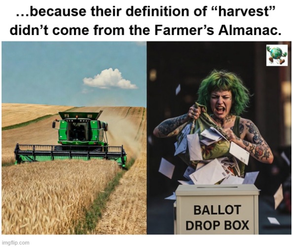 Why is voter “access” always prioritized over verification by Democrats? | image tagged in maga,conservative,election,voter fraud | made w/ Imgflip meme maker