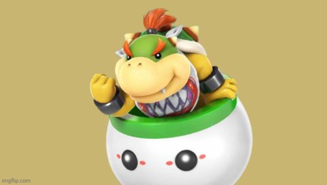 image tagged in success kid bowser jr | made w/ Imgflip meme maker