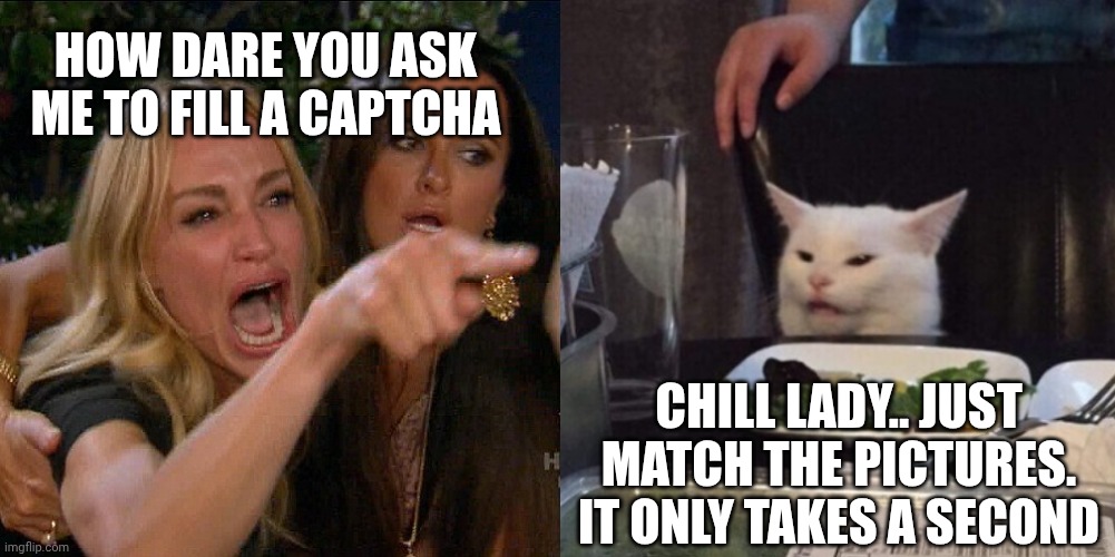 Captcha | How dare you ask me to fill a captcha; Chill lady.. Just match the pictures. It only takes a second | image tagged in woman yelling at cat | made w/ Imgflip meme maker