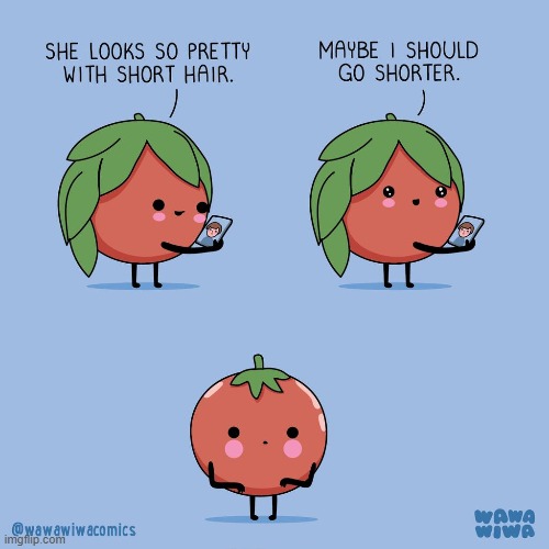 image tagged in tomato,hair,leaves,long,short,oh dear | made w/ Imgflip meme maker