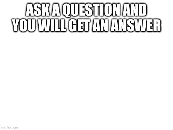 Blank White Template | Ask a question and you will get an answer | image tagged in blank white template | made w/ Imgflip meme maker