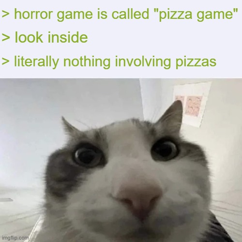 green text cat | > horror game is called "pizza game"; > look inside; > literally nothing involving pizzas | image tagged in green text cat | made w/ Imgflip meme maker