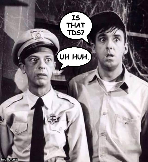 Barney n Gomer | is that tds? uh huh. | image tagged in barney n gomer | made w/ Imgflip meme maker