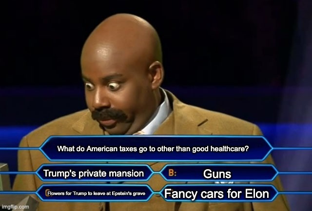 Who wants to be a millionaire? | What do American taxes go to other than good healthcare? Trump's private mansion; Guns; Fancy cars for Elon; Flowers for Trump to leave at Epstein's grave | image tagged in who wants to be a millionaire,all of the above,meme,liberal,memes,politics | made w/ Imgflip meme maker