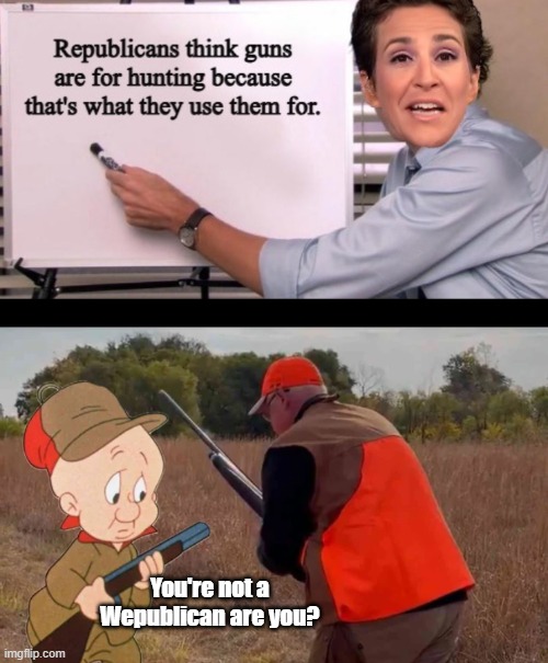 You're not a Wepublican are you? | made w/ Imgflip meme maker