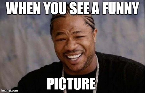 Yo Dawg Heard You | WHEN YOU SEE A FUNNY PICTURE | image tagged in memes,yo dawg heard you | made w/ Imgflip meme maker