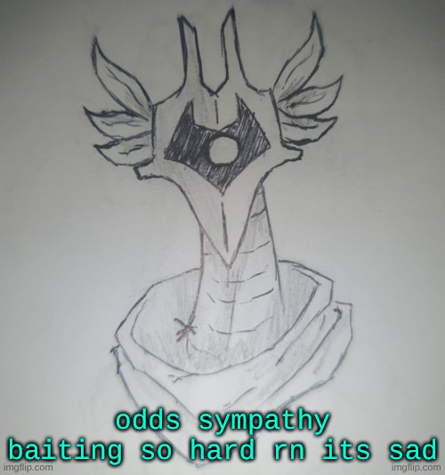 when will she be done with ts phase | odds sympathy baiting so hard rn its sad | image tagged in hunter temp by shadowskul | made w/ Imgflip meme maker
