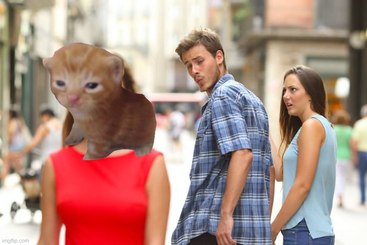 herbert | image tagged in memes,distracted boyfriend,herbert | made w/ Imgflip meme maker