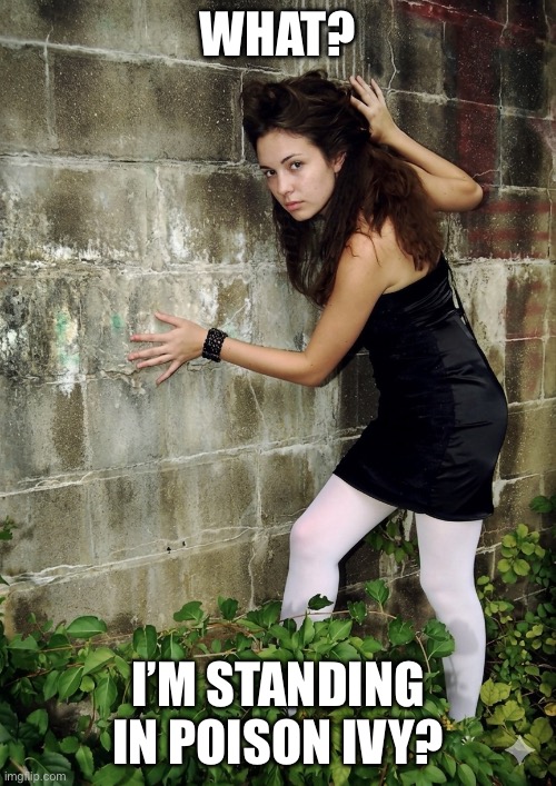 Poison Ivy Girl | What? I’m standing in poison ivy? | image tagged in girl against wall,poison ivy,poisonous plants,nasty weeds | made w/ Imgflip meme maker