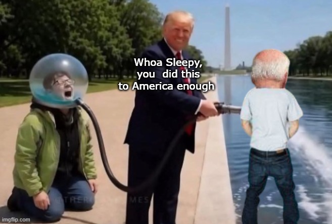 Whoa Sleepy, you  did this to America enough | made w/ Imgflip meme maker