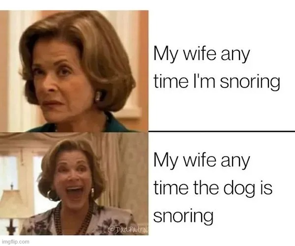 Lived it | image tagged in snoring meme | made w/ Imgflip meme maker