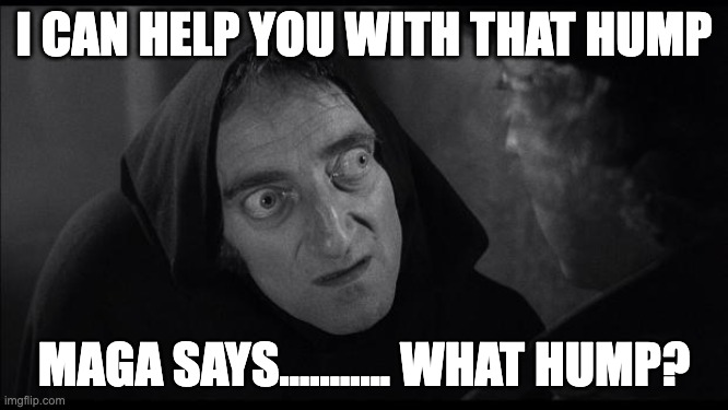Maga's hump | I can help you with that hump; maga says........... What hump? | image tagged in what hump | made w/ Imgflip meme maker
