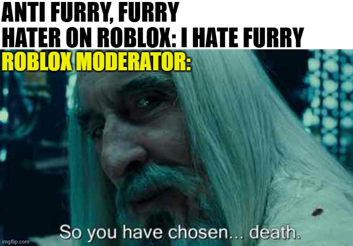 So you have chosen death | anti furry, furry hater on roblox: i hate furry; roblox moderator: | image tagged in so you have chosen death | made w/ Imgflip meme maker